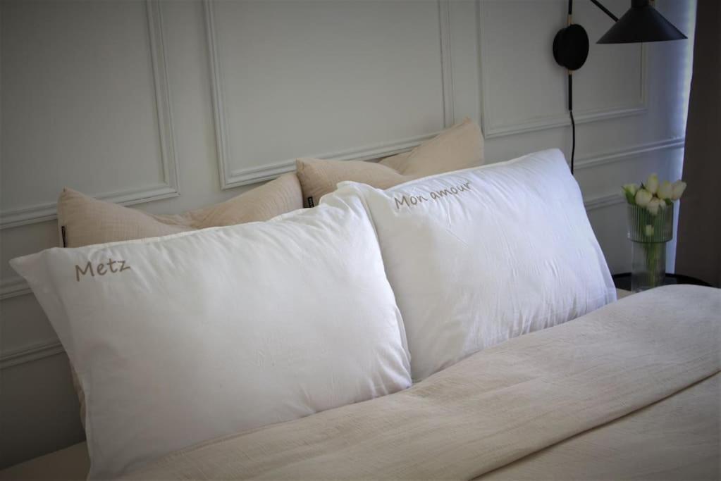 Hotel Metz Mon Amour, Un Sejour A 200M De La Cathedrale ! Classe 3 Etoiles ! 外观 照片